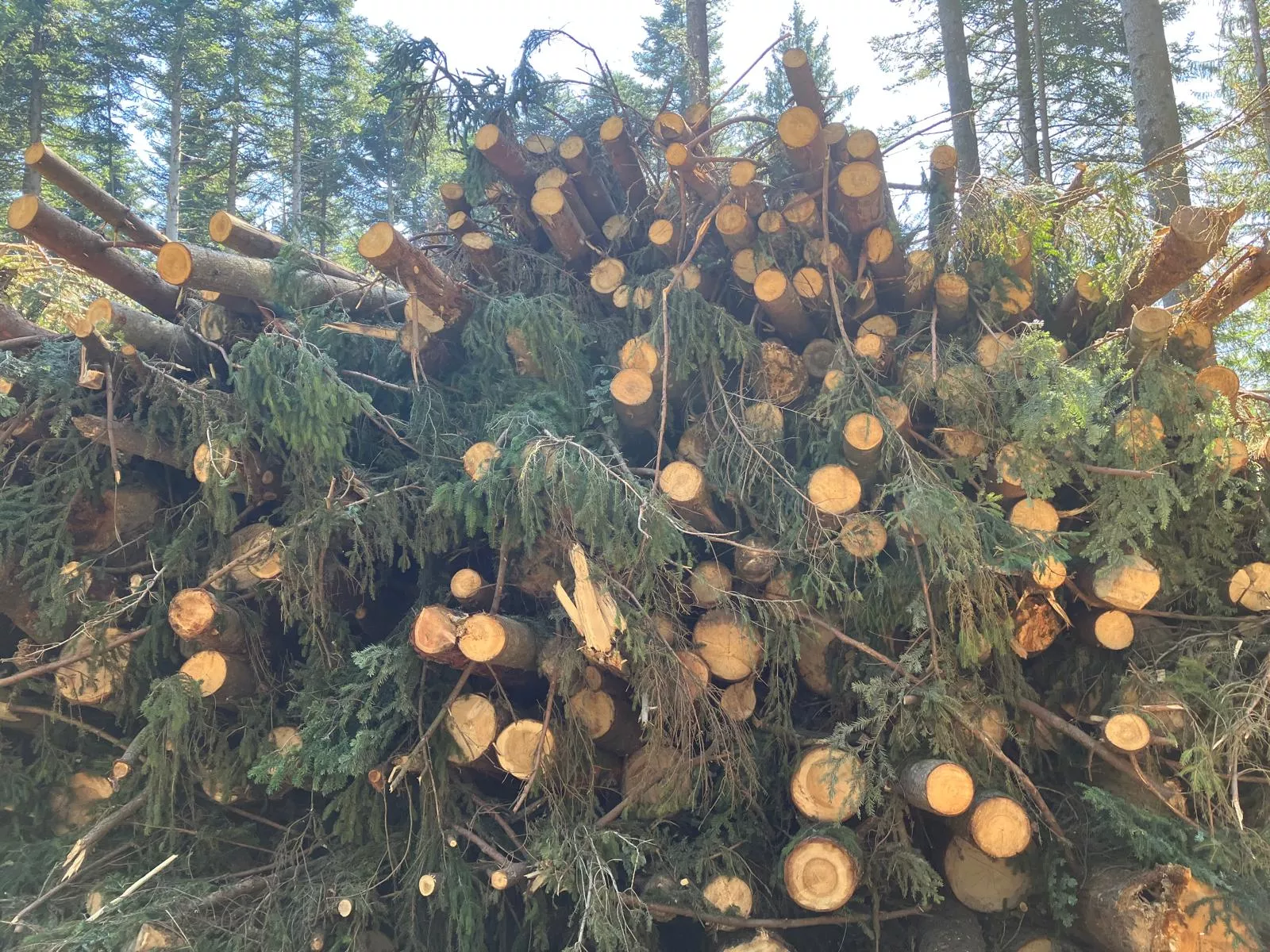 Guido's Holzunikate Appenzell